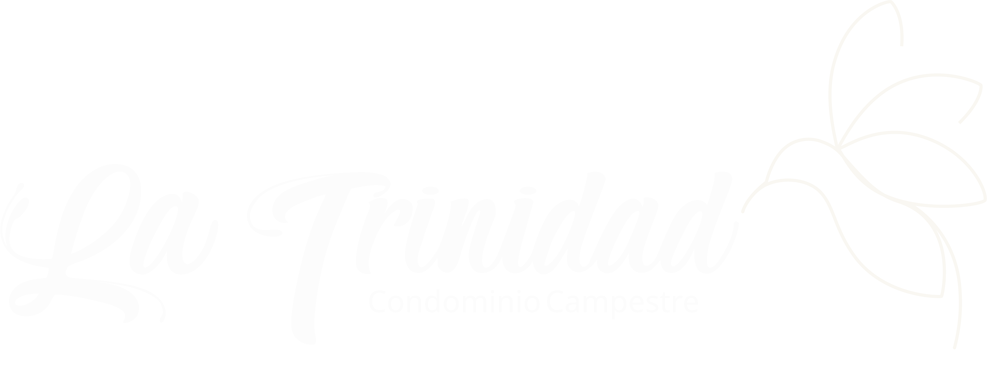 La Trinidad Condominio Campestre