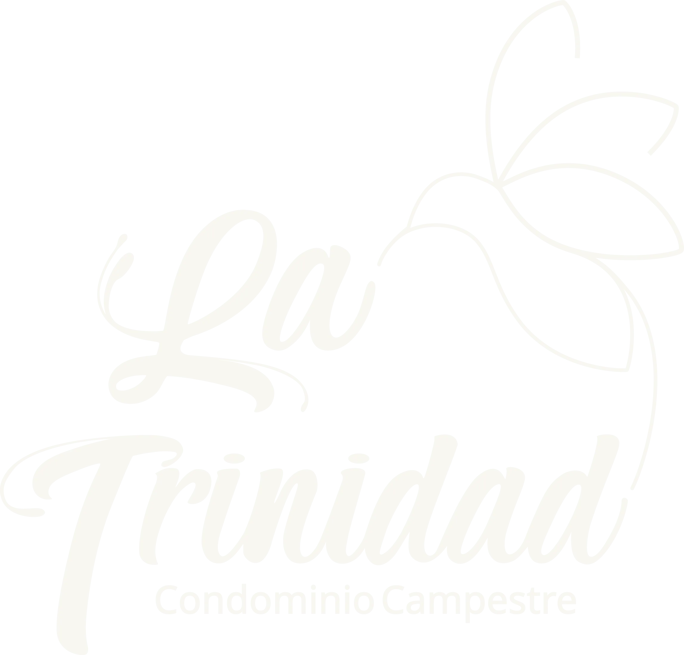 La Trinidad Condominio Campestre